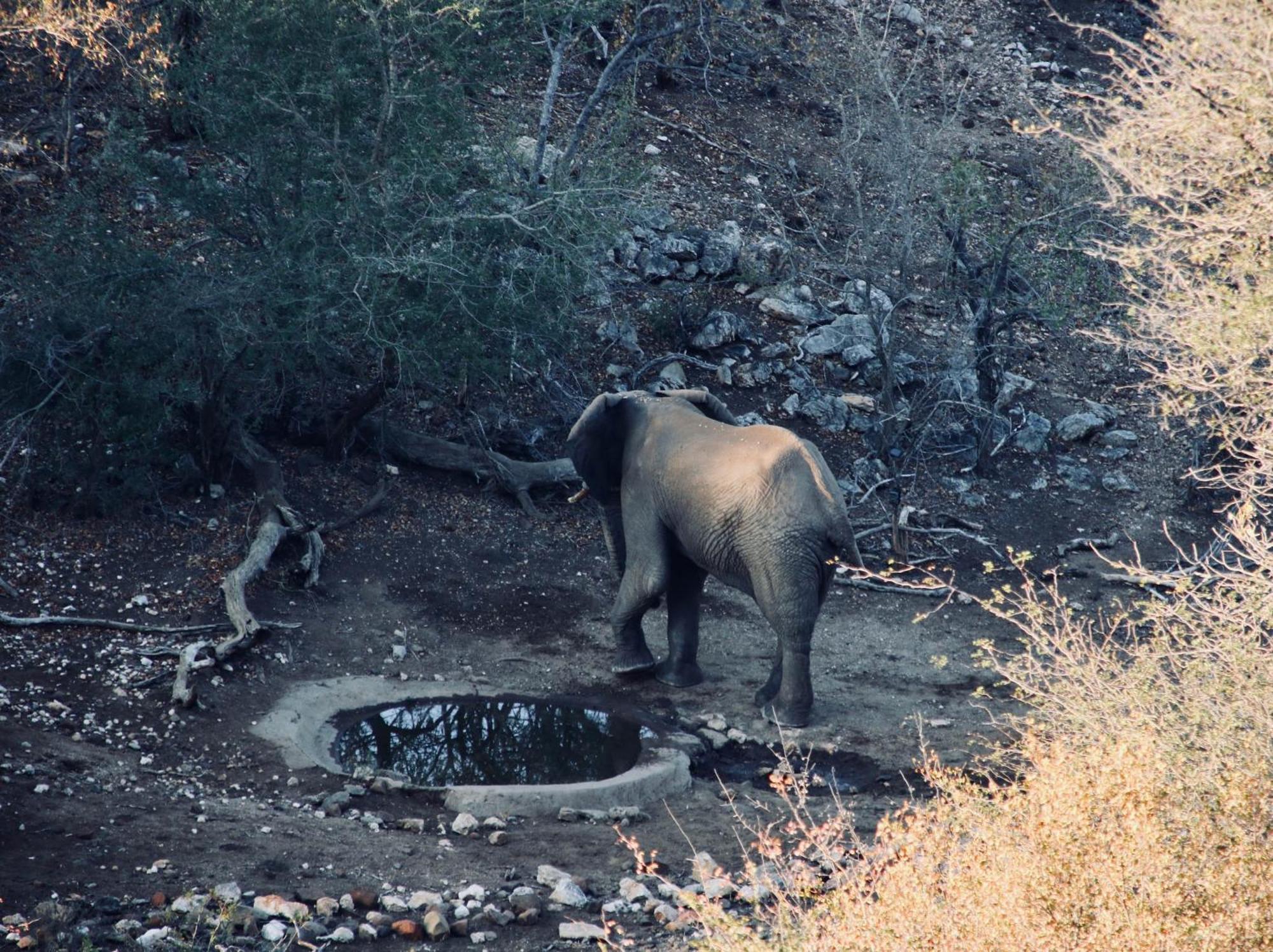 Parsons Hilltop Safari Camp Balule Game Reserve Esterno foto